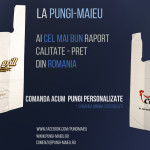 BANNER PUNGI MAIEU _PAGINA