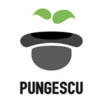 pseudo-pungescu