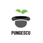 pseudo-pungescu-pungi-farmacie